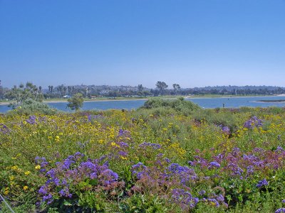 Fiesta Island