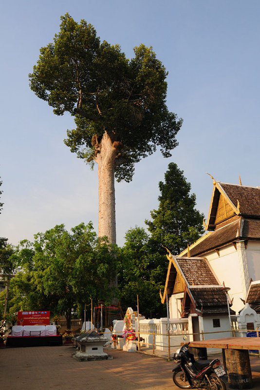 Wat Chedi Luang