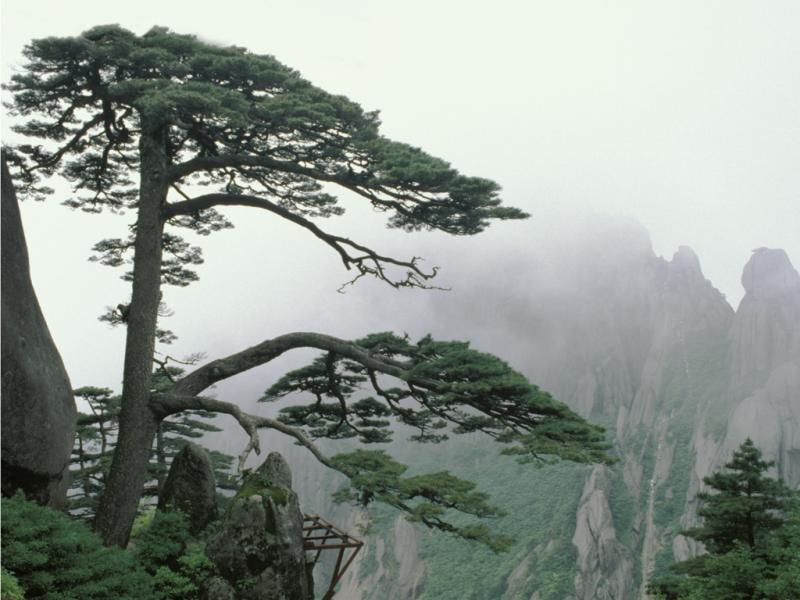 Huangshan, China, 1993