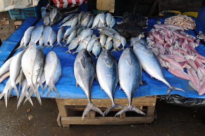 Pasar Ikan/Fish Market