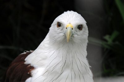 DSC_3304.jpg
