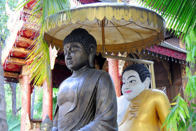 Wat Ku Tao