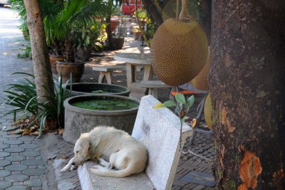 Wat Chiang Man
