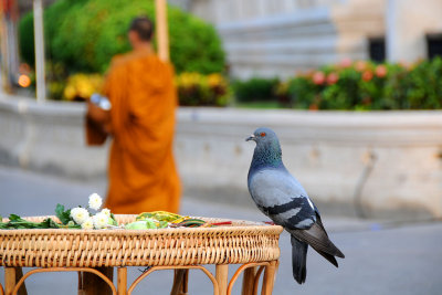 Wat Chedi Luang