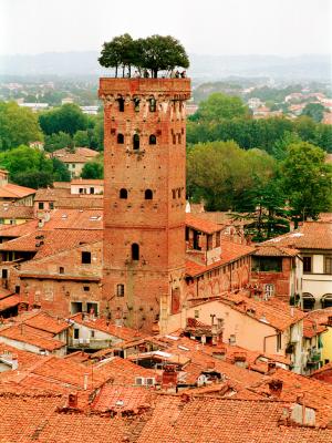 Tree Towere, Lucca