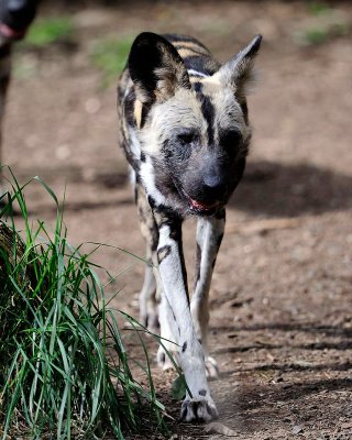 Zoo_MAR28_72_203.jpg