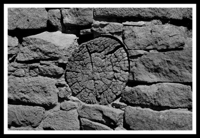 Timber in Stone_BW