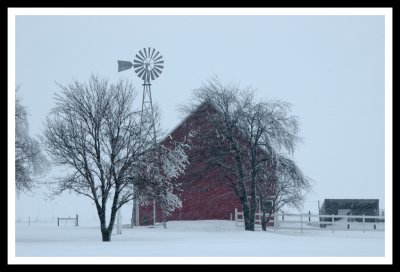 Red Barn in Blizzard