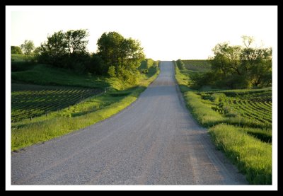 Country Road in the Sweet Hour
