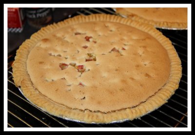 Grandma Weiss Rhubarb Custard Pie