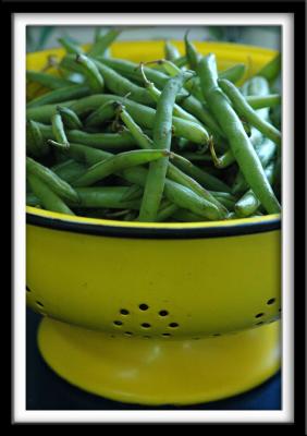 Fresh Green Beans