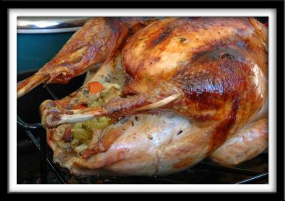 g3/78/455178/3/52717052.SecondTurkeyever_resize.jpg