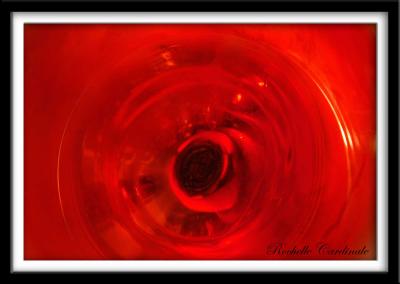 Spin of Zin