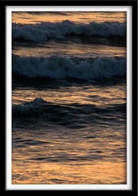 Wave Study