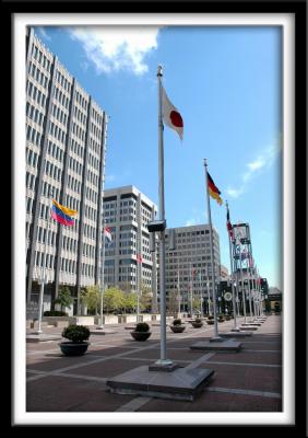 Flag Walk