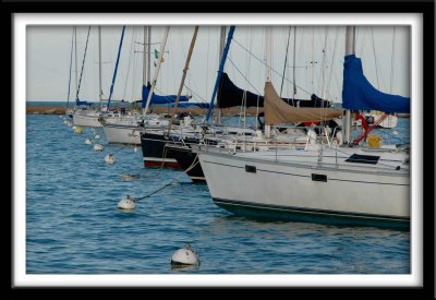 Row of Sailboats