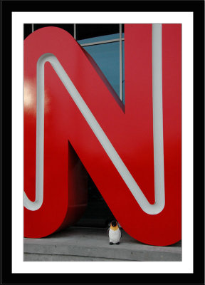 CNN and Honorary Mr. Jingles 2