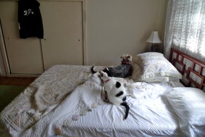 g3/78/459878/3/113686229.z6Itwy0q.jpg