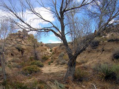 g3/78/459878/3/58493730.KeysRanch0047.jpg