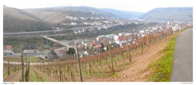 g3/78/465178/3/54662192.208_0896_p_Bingen_07.jpg