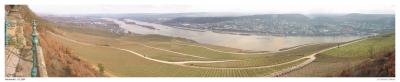 g3/78/465178/3/56355773.214_1423_p_Niederwald_01.jpg