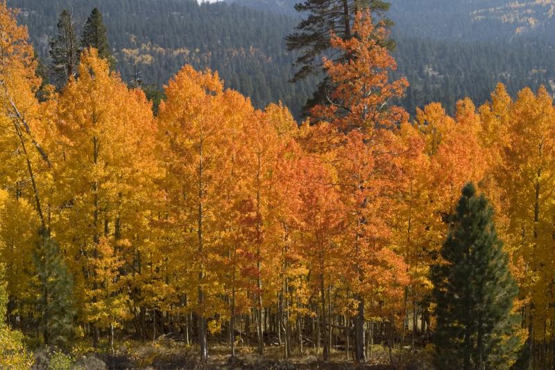 109-0946_CRW.jpg