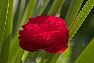 CRW_4192.jpg