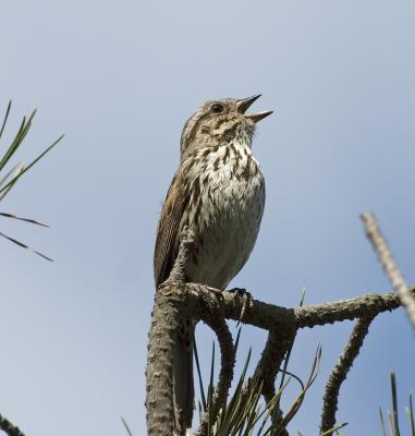 CRW_4684.jpg