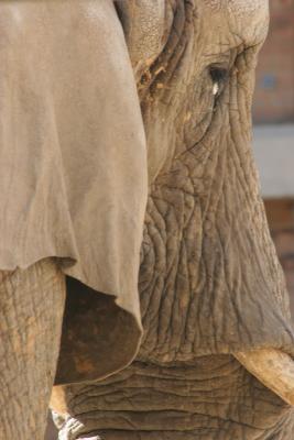 g3/78/475178/3/55862021.Zoo201.jpg