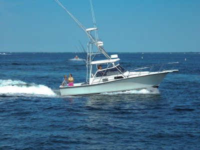 TN-1211.jpg