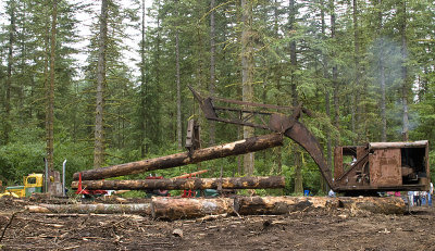 Logging show