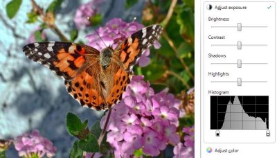 Butterfly - histogram adjustment