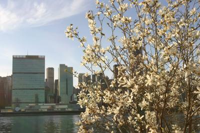 Spring time on East River