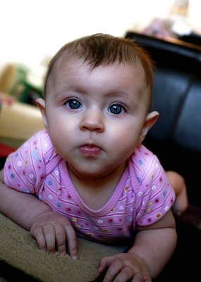 g3/78/537578/3/122410257.ltjfHJ7E.jpg