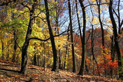 Schenley Park,  Pittsburgh, Pennsylvania