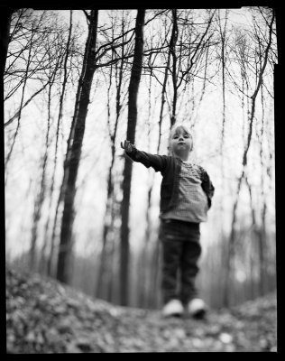 The Kingdom Of The Trees; Darcy, Brussels 2008