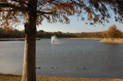 Bob Woodruff Park(Fall)