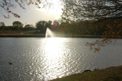 Bob Woodruff Park (115).JPG