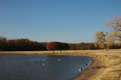 Bob Woodruff Park (130).JPG