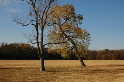 Bob Woodruff Park (145).JPG