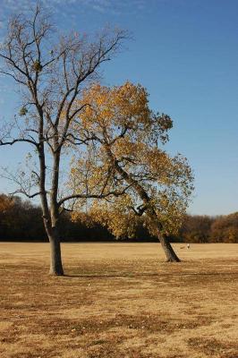 Bob Woodruff Park (146).JPG