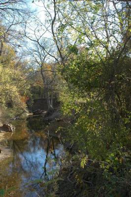 Bob Woodruff Park (17).JPG