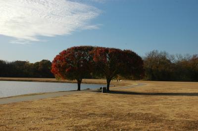 Bob Woodruff Park (27).JPG