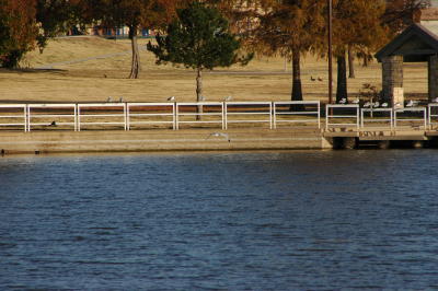 Bob Woodruff Park (91).JPG