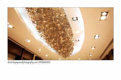 shyamprasadphotography.com-mob.-9810615005