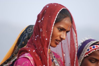DSC_7295.jpg