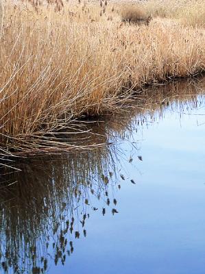 Runnins River, Seekonk, MA