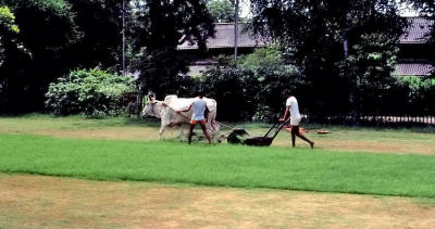 Cutting the Grass