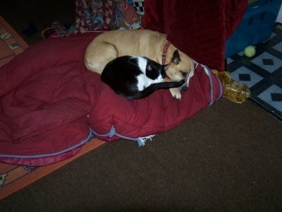 Jimi and Misty