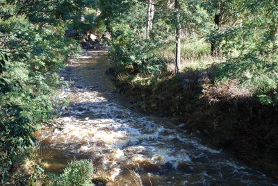 pix 015.jpg